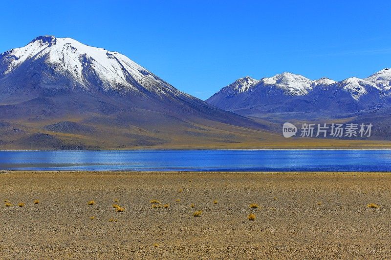 Lagunas Miñiques和Miscanti -湖泊和雪顶火山山-绿松石湖和田园般的阿塔卡马沙漠，火山景观全景-圣佩德罗阿塔卡马，智利，Bolívia和阿根廷边境